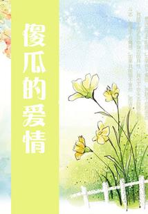 夏天的古观音禅寺
