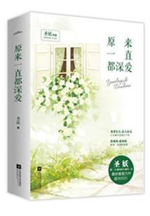 菩提根配饰阿呆