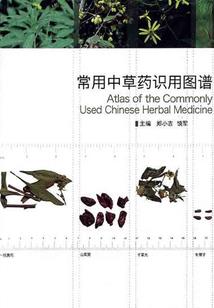 鉴真带去日本的佛学教义