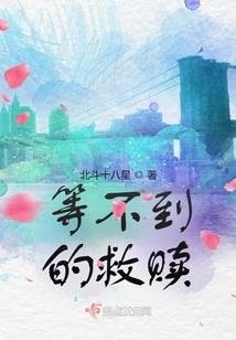 鉴宝节目铁质佛像是谁
