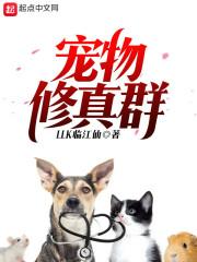 学佛的人很安静怎么办
