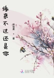 台湾和尚讲金刚经全集