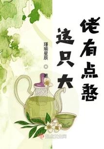 炉石法师机械法