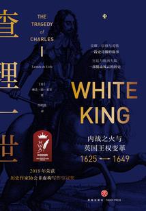 和王教授视频讲佛学的人