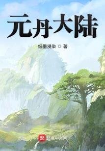 地藏同胞鳄龟