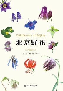 教书育人是大功德