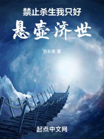 金刚经少林寺传奇