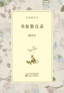 打坐冥想大象