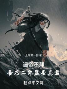 老挝佛陀视频讲解