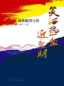 铂金局四个法师装备