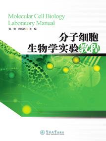 斩破红尘佛家名