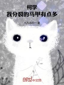 居士的重要语言