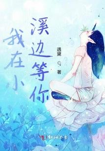 三百件粉彩观音瓶图案