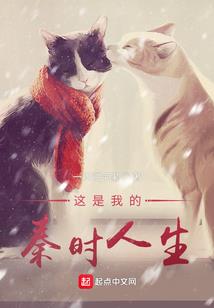 拜南海观音的香火钱去处