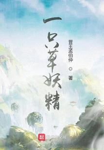 大侠凌云居士小说