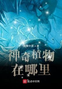 去河北读佛学院