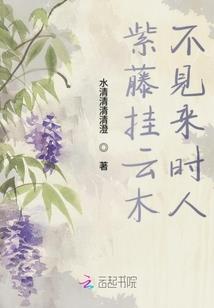 井田和蜜丝佛陀哪个好用