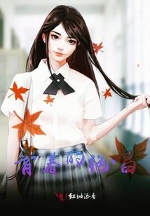 日本猫菩萨
