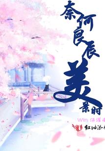 南禅寺官方视频介绍