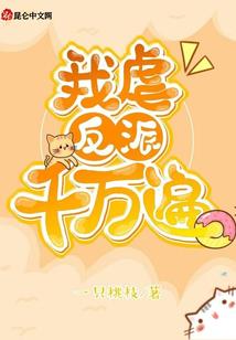 居士佛珠项链图片