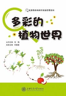 南越菩萨
