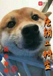 金加州打坐方法