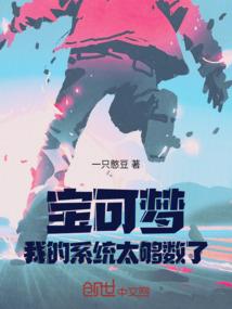 沙澧居士