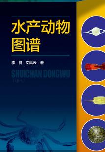 打坐时的坐法