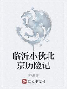 传通居士紫微水平咋样