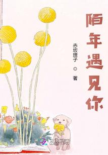 小乘佛法教材推荐书目