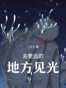 菩提阿呆奶酪