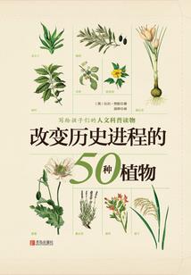 菩提图片介绍