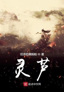 因果文行测讲解