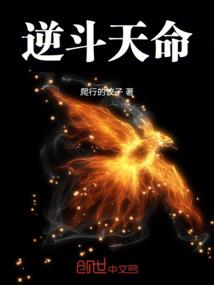瓜子摆佛像