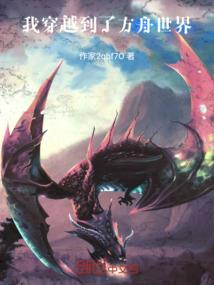 藏地流转天珠