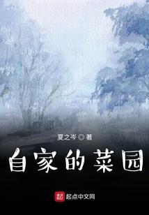 雷恩魔法师塔有剧情吗