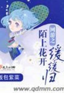 菩提禅寺有菩提树么吗