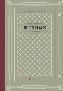 菩提椰种子