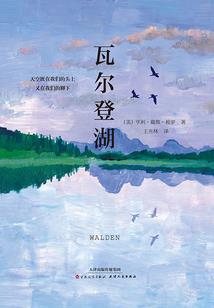 瑞兆法师