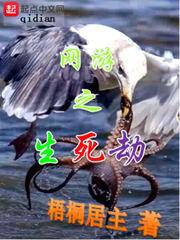 雪衣怎么打坐