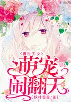 铁观音大片