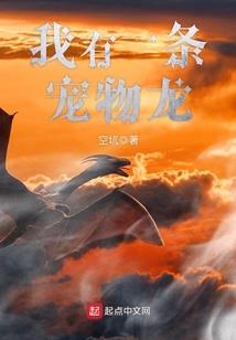 居士等级划分
