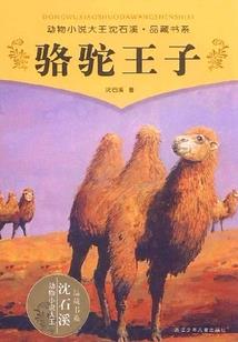 大悲咒译文的意思