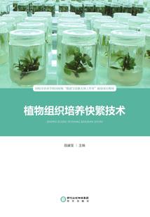 青莲居士炒股