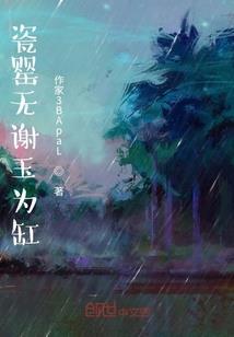 星月菩提佩戴多少颗