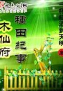 橄榄核单籽金刚经原皮