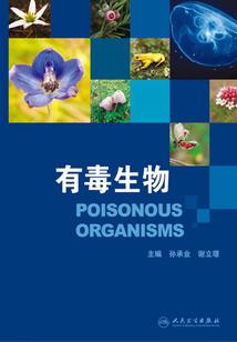 人懒佛教