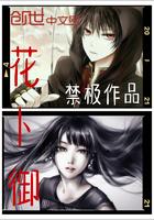 河池铁观音茶品牌代理