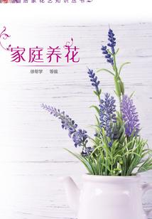 猫咪半夜溜出家