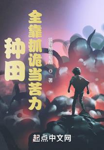 李清照是不是淮海居士